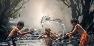 Jak często można kąpać psa maltańczyka? Jak często można kąpać psa maltańczyka?