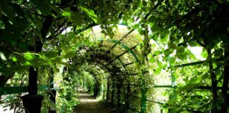 Co lepsze pergola czy markiza? Co lepsze pergola czy markiza?