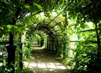 Co lepsze pergola czy markiza?