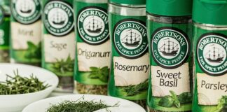 Czy lebiodka to oregano?